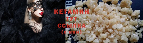 сатива Балахна