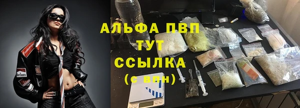 сатива Балахна
