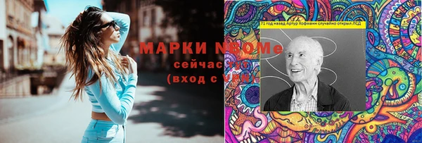 сатива Балахна