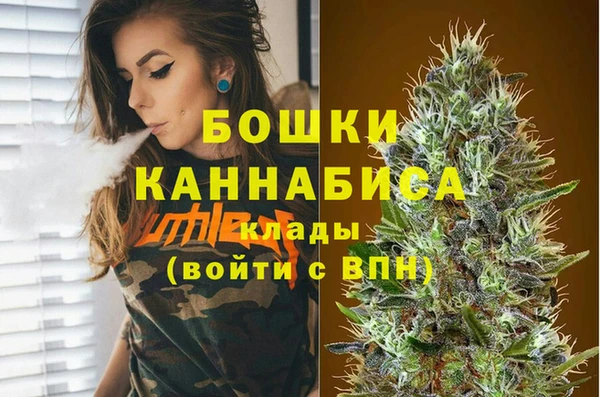 сатива Балахна
